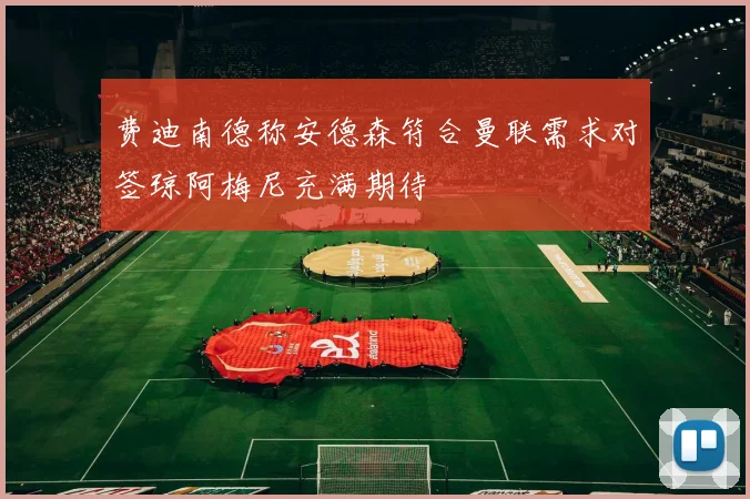 费迪南德称安德森符合曼联需求对签琼阿梅尼充满期待