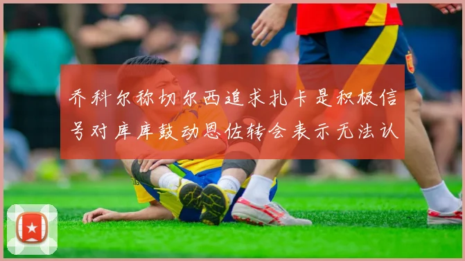 乔科尔称切尔西追求扎卡是积极信号对库库鼓动恩佐转会表示无法认同